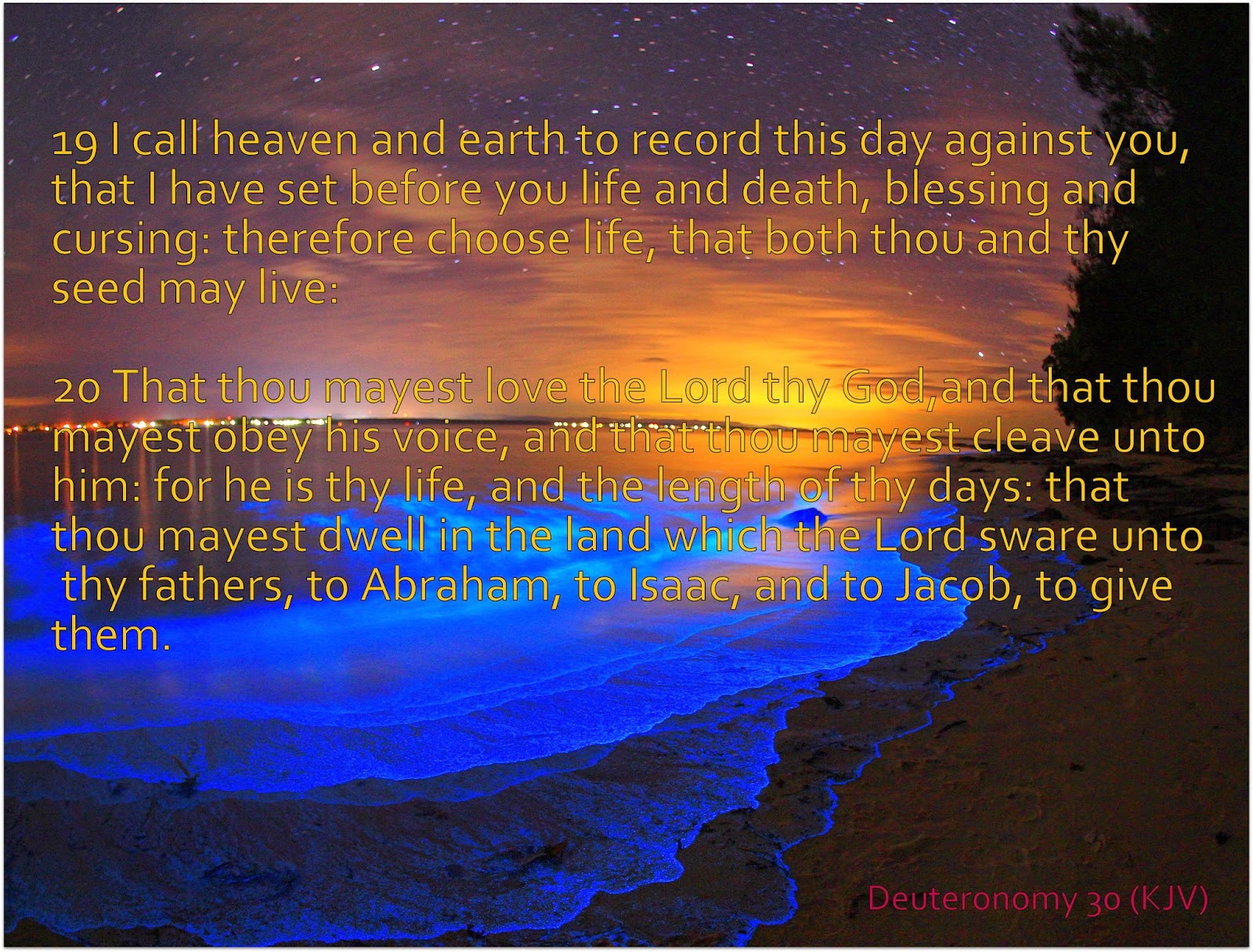 Red Pill Diaries Deuteronomy 30 KJV  red-pill-diaries-deuteronomy-30-kjv