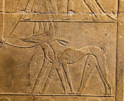 alt=" bajo relieve con perros en el antiguo egipto"