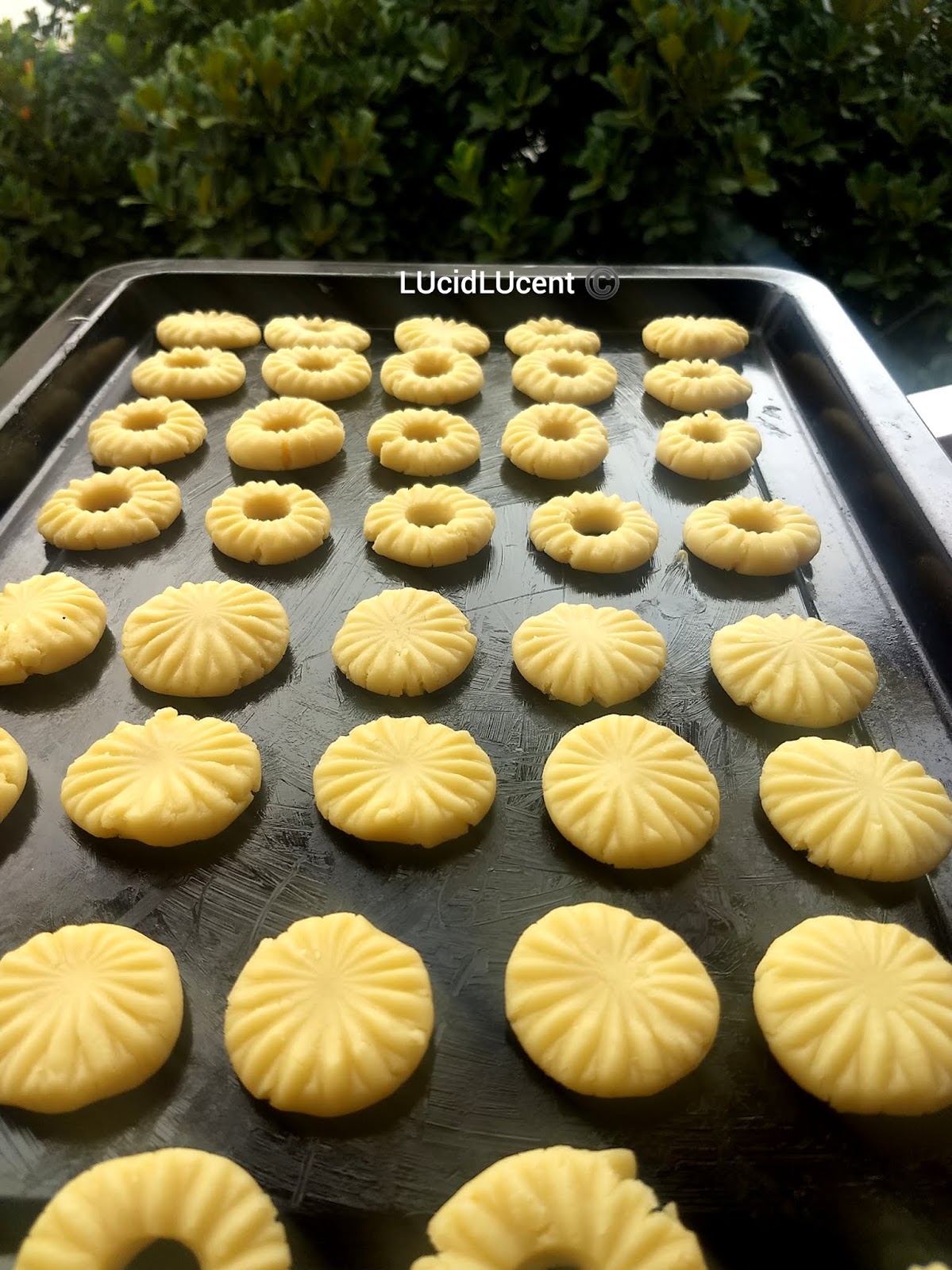 LUcidLUcent EGGLESS CONDENSED MILK COOKIES (WITH ONLY THREE INGREDIENTS)