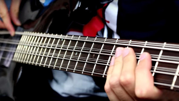 Gitar Bass 12 Senar gitar bass