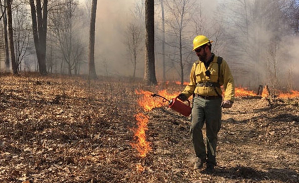 PA Environment Digest Blog DCNR Good Natured Blog Prescribed Burns In