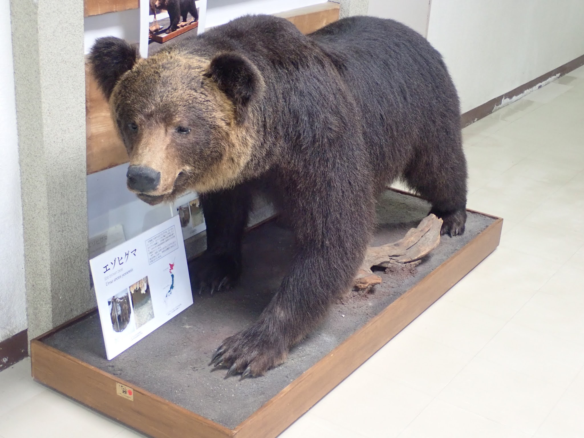 逆さまに流れる噴水を見たことがあるでしょうか？