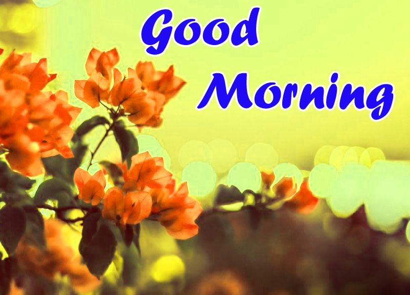 50+ Very Sweet good morning images for whatsapp free download Sweet good morning images for whatsapp free download