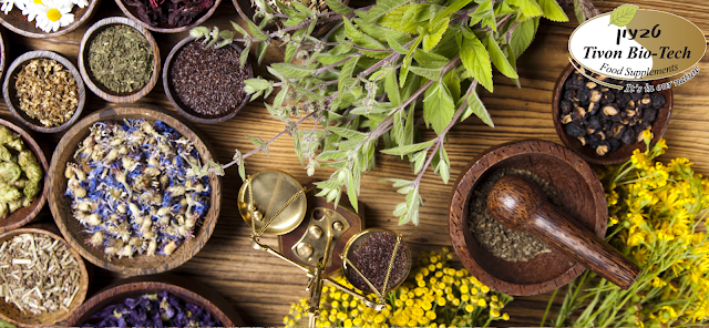 אתר טבעון ויטמין ביוטק