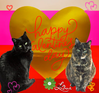 Mickey S Musings Happy Valentine S Day