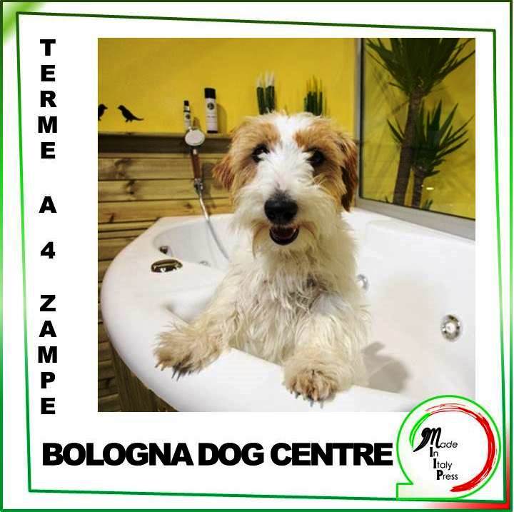 TERME E SPA PER GLI AMICI A 4 ZAMPE BOLOGNA DOG CENTRE