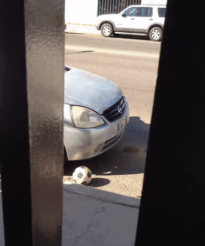daily_gifdump_3134_29.gif
