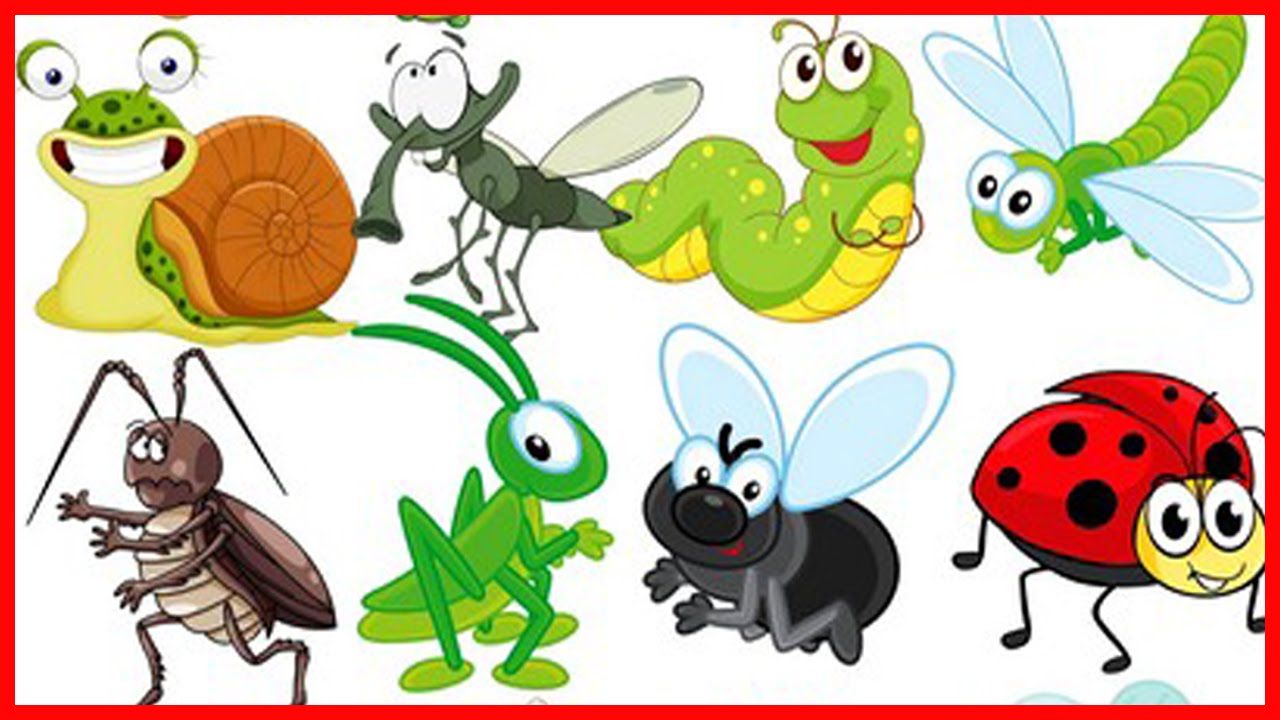 Картинки с насекомыми для детей