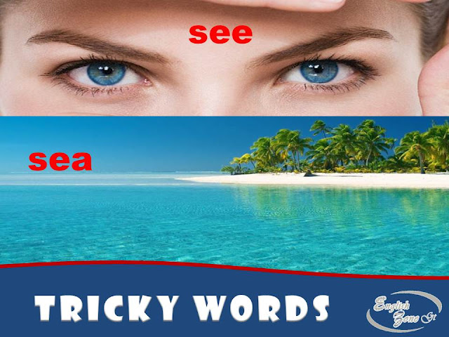 Palabras Homofonas Tricky Words