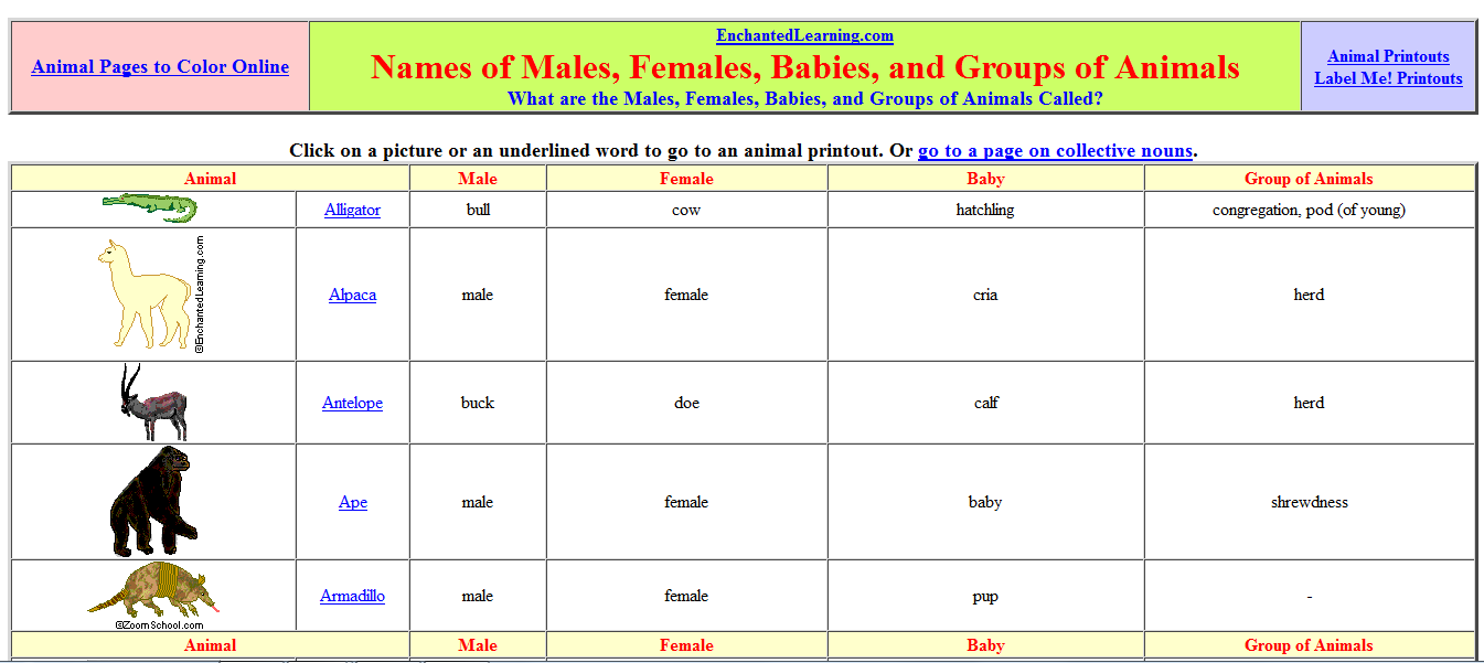 Blok888 Top 10 Best Educational Animal Websites for Kids