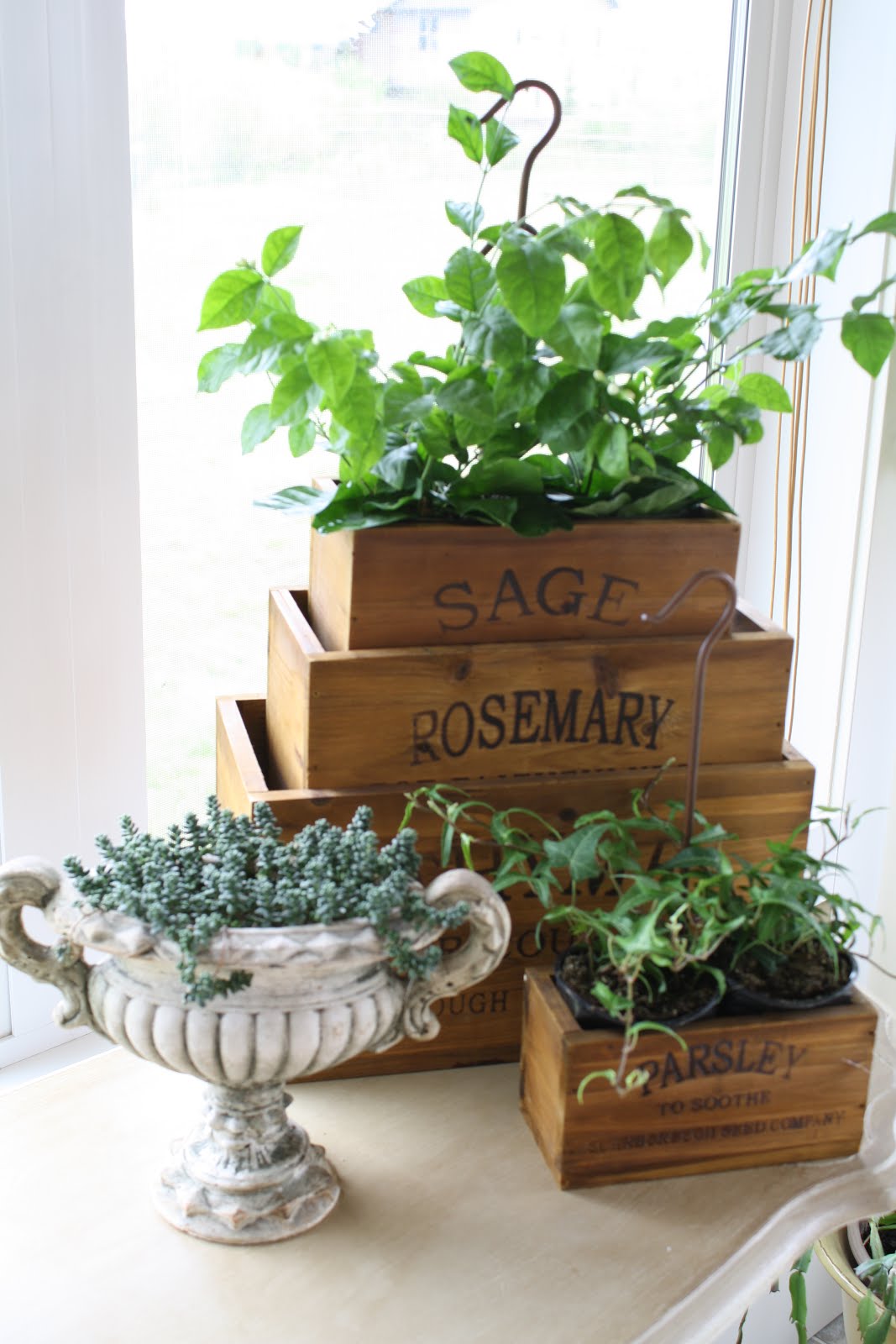 Savvy Southern Style My Favorite Room Willow Wisp Cottage