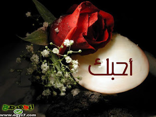 صور جميلة 2020 , اجمل صور حلوه لعام 2020 , صور رائعة جديدة صور جميلة 2020 , اجمل صور حلوه لعام 2020 , صور رائعة جديدة