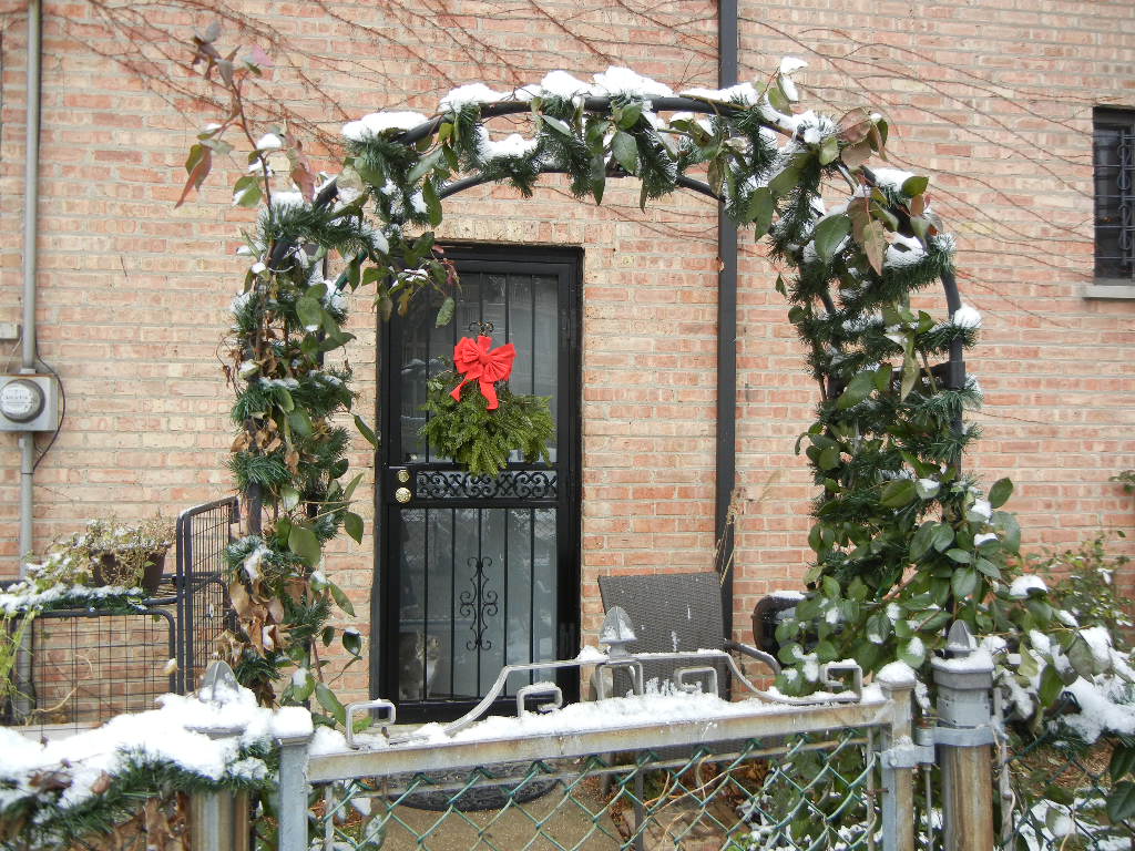 ChainLink Trellis Winterized ChainLink Fence and Garden Cookies