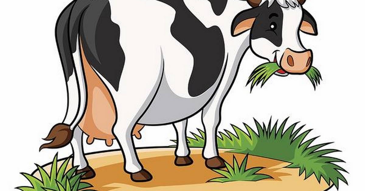 Essay on cow in english for class 4 image