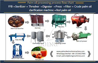 palm oil processing process