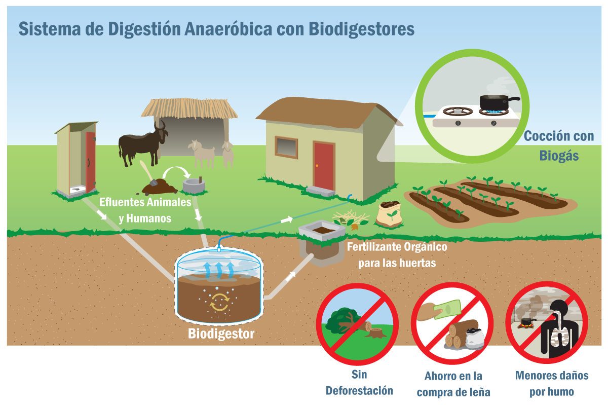 Alternativas para Cuidar el Medio Ambiente