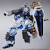 Metal Build 1/100 Gundam Astray Blue Frame Full Weapon Form - Release Info
