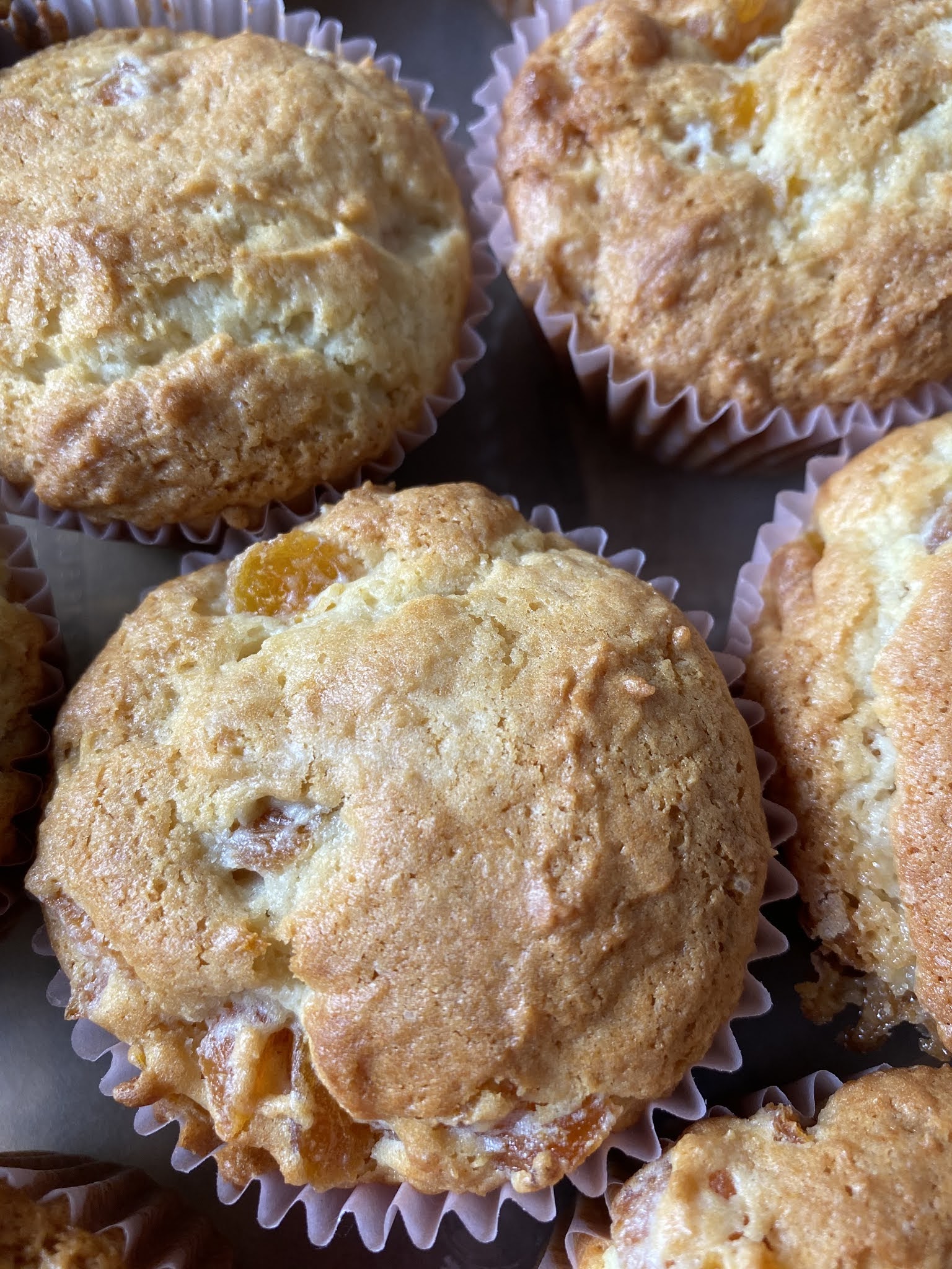 Dried Apricot Muffins