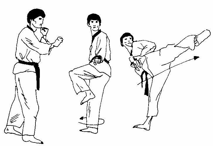 Associação Kenio Taekwondo Apucarana: Chutes: Yop Chagi (Side Kick)
