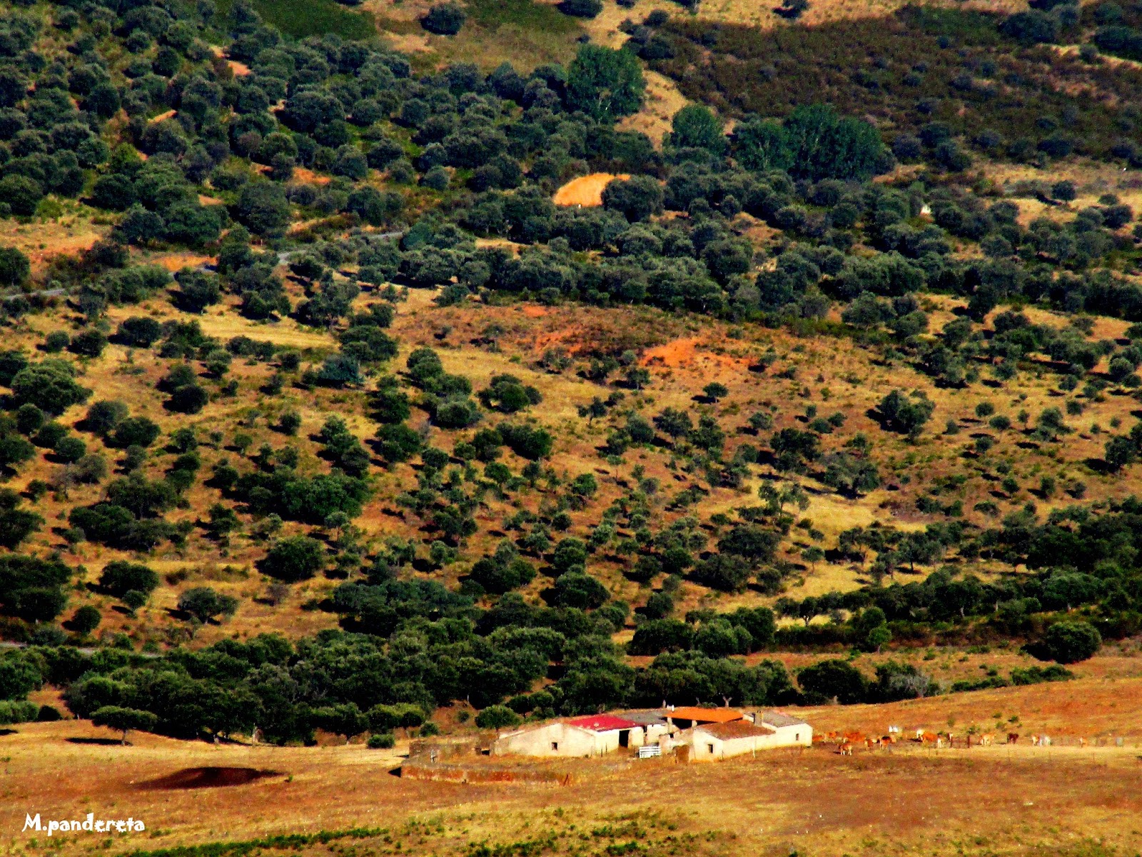 "Se ha escrito en Huertas": Capitulo 847: Visita a la cueva y posterior