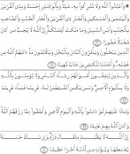 Kandungan Surat An Nisa Ayat 59 / Surat Al Maidah Ayat 48 Beserta Tajwidnya - Extra - Taat memiliki arti tunduk (kepada allah swt., pemerintah, dsb.) tidak berlaku curang, dan atau setia.
