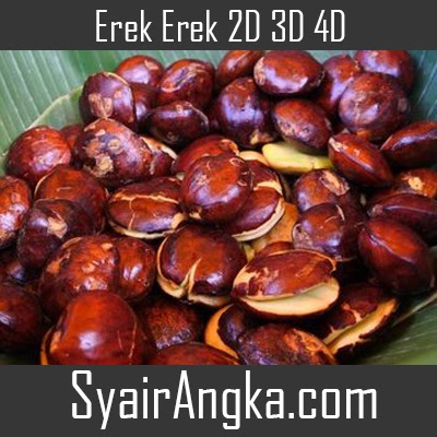 Erek Erek Jengkol 2D 3D 4D Di Buku 1001 Mimpi - Syairangka.com