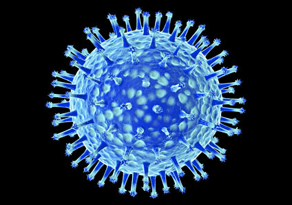 Virus - gripe