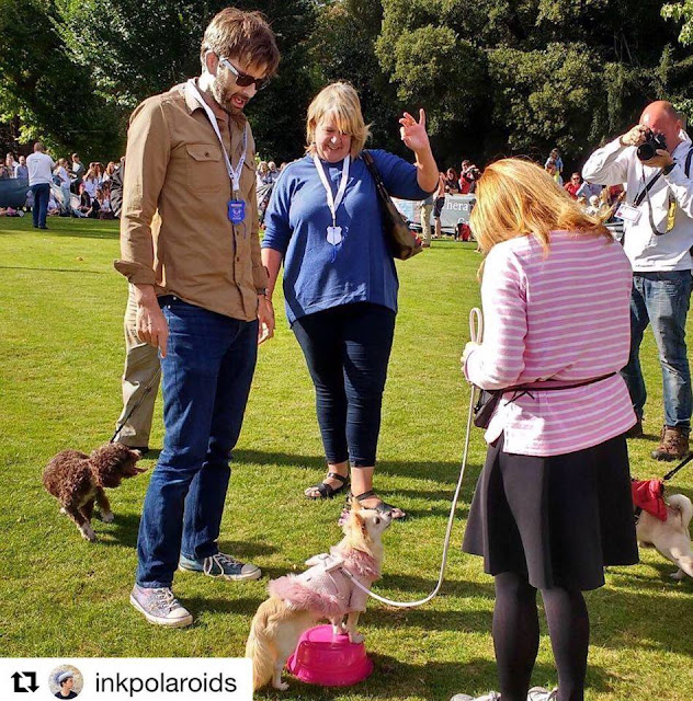 PHOTOS David Tennant At The Chiswick Dog Show Today