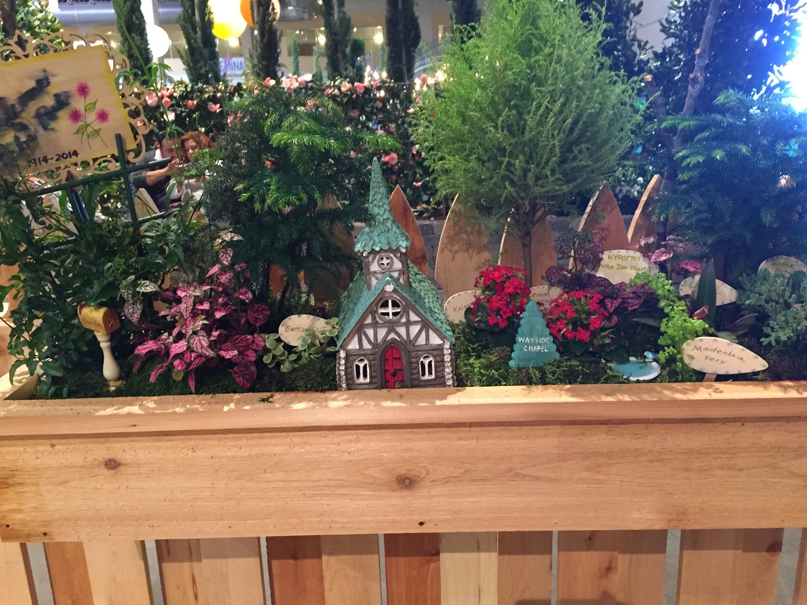 Love Living at Home 10 inspirational window boxes