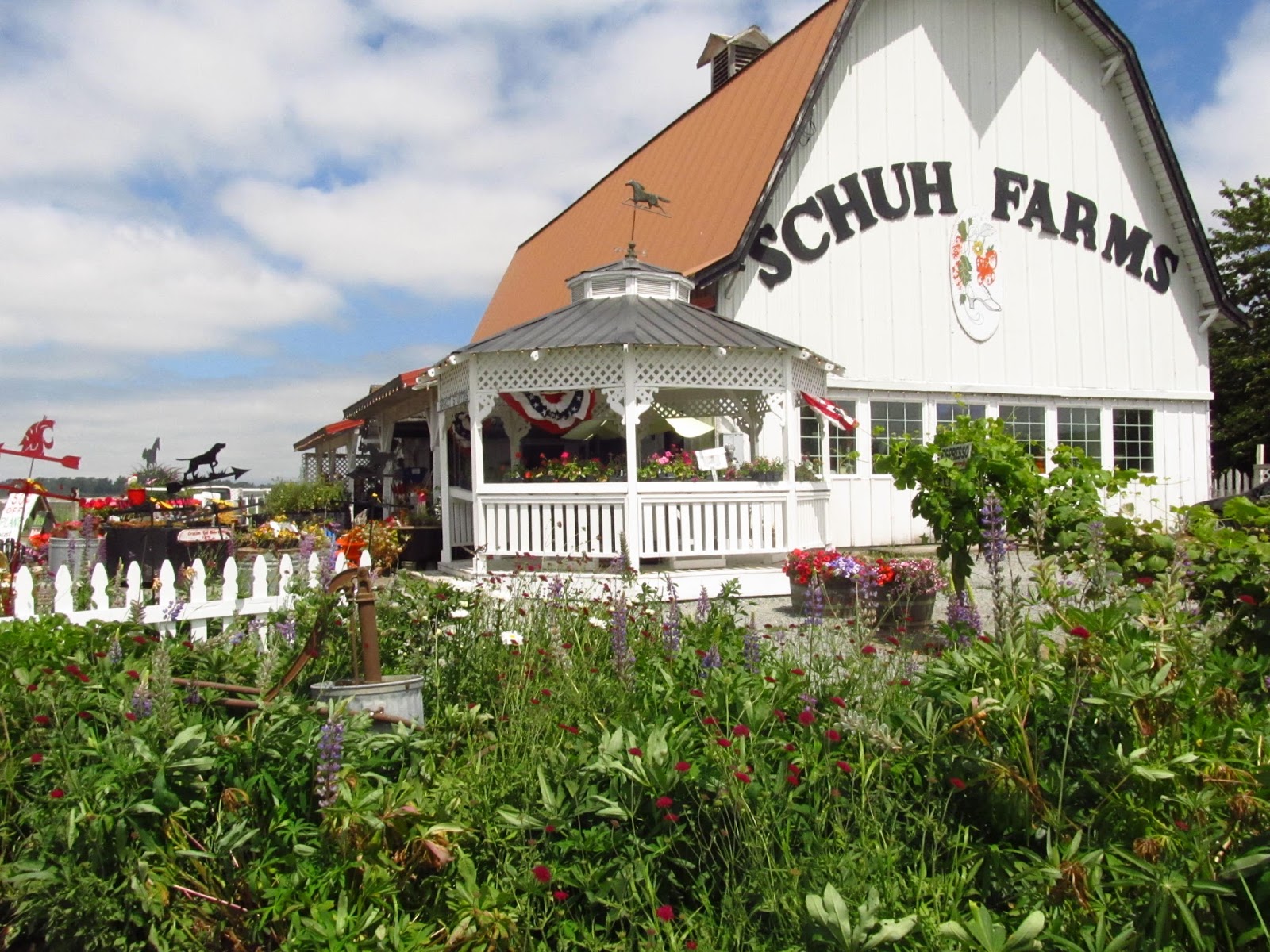 Crazy Victoriana crazy for quilts Calico Creations Quilt Shop, Mt