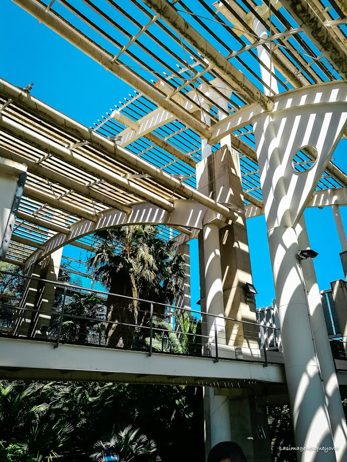 Estufa Fría del parque Juan Carlos I