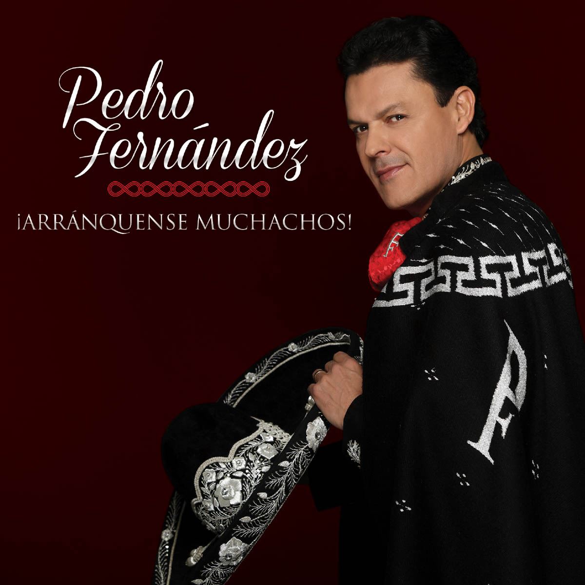 Descarga Discografia Completa Pedro Fernández, 18 Cds en MEGA (1 Link)