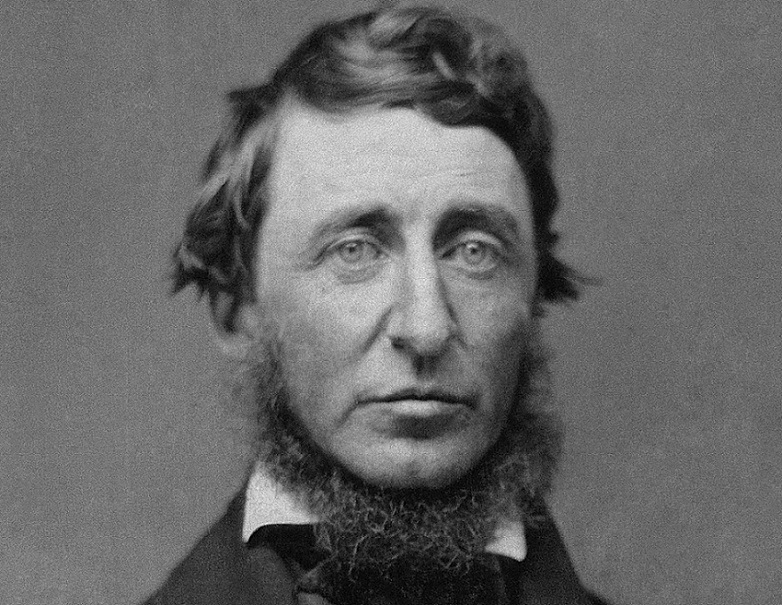 Citas y frases Henry David Thoreau
