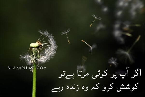 Urdu Shayari