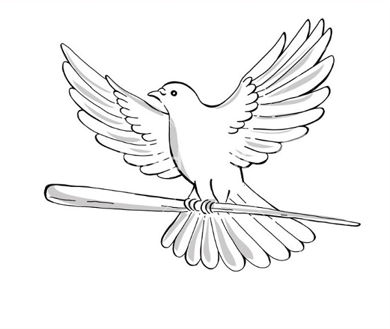 Gambar sketsa burung merpati Gambar sketsa burung merpati