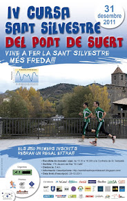 CARTELL DE L'EDICIÓ 2011