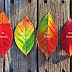 Ana Pana Sati - Back to the basics: Consciously breathe in, breathe out ...