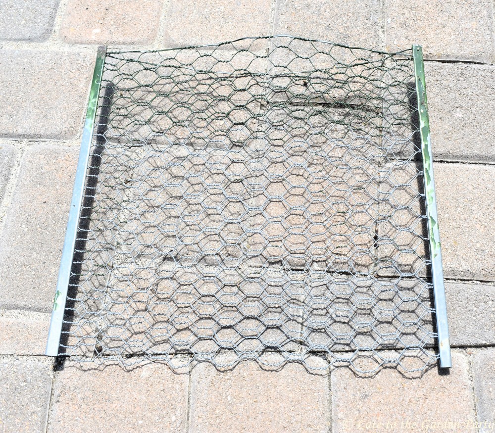 Late to the Garden Party Summer planting rules & gopher curbs