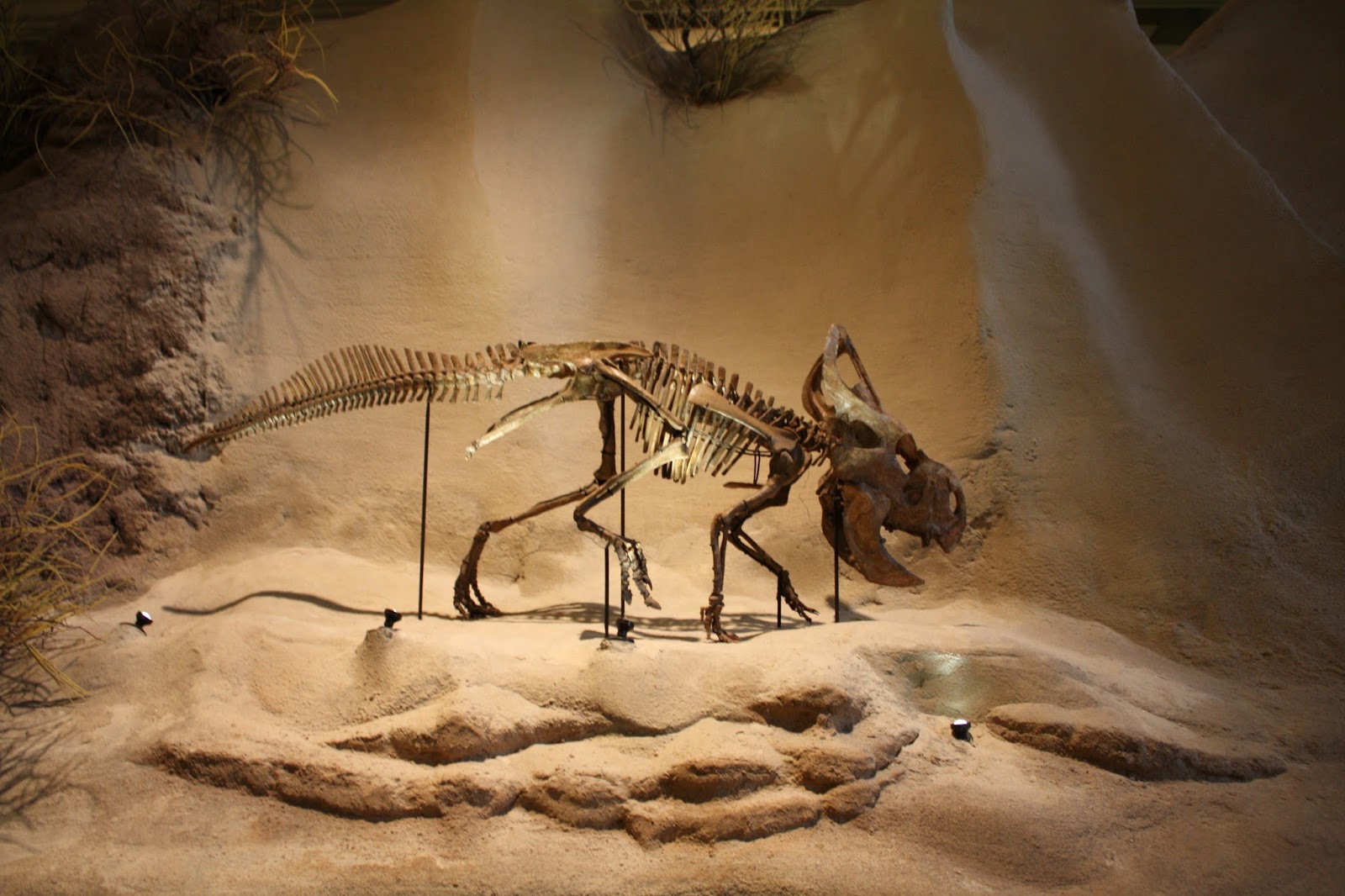 A Little Time and a Keyboard Walking with the Dinosaurs at the