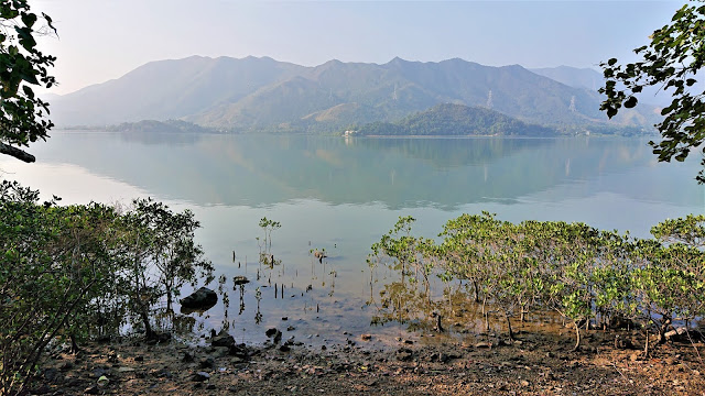 鹿頸吊燈籠徑，沙頭角海