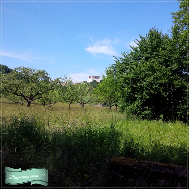 English Speaking Odenwald Activities For Kids