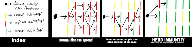 What is HERD IMMUNITY in simple terms? How can we attain HERD IMMUNITY?