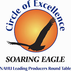 NAHU Soaring Eagle