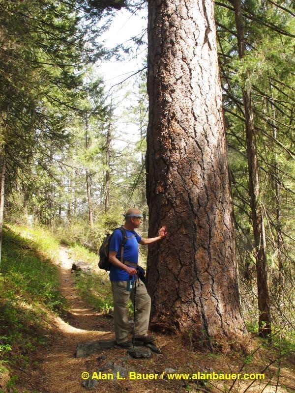 Fagin's Weather World Hike Washington KUOW Hike Ingalls Creek Lake