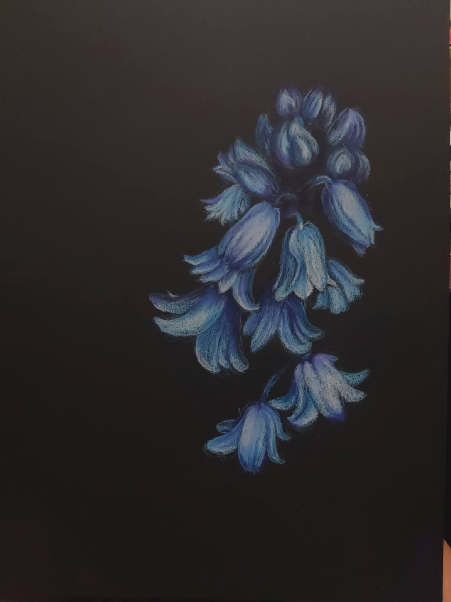 Drawing on black paper with pastel pencils, coloured pencils and other