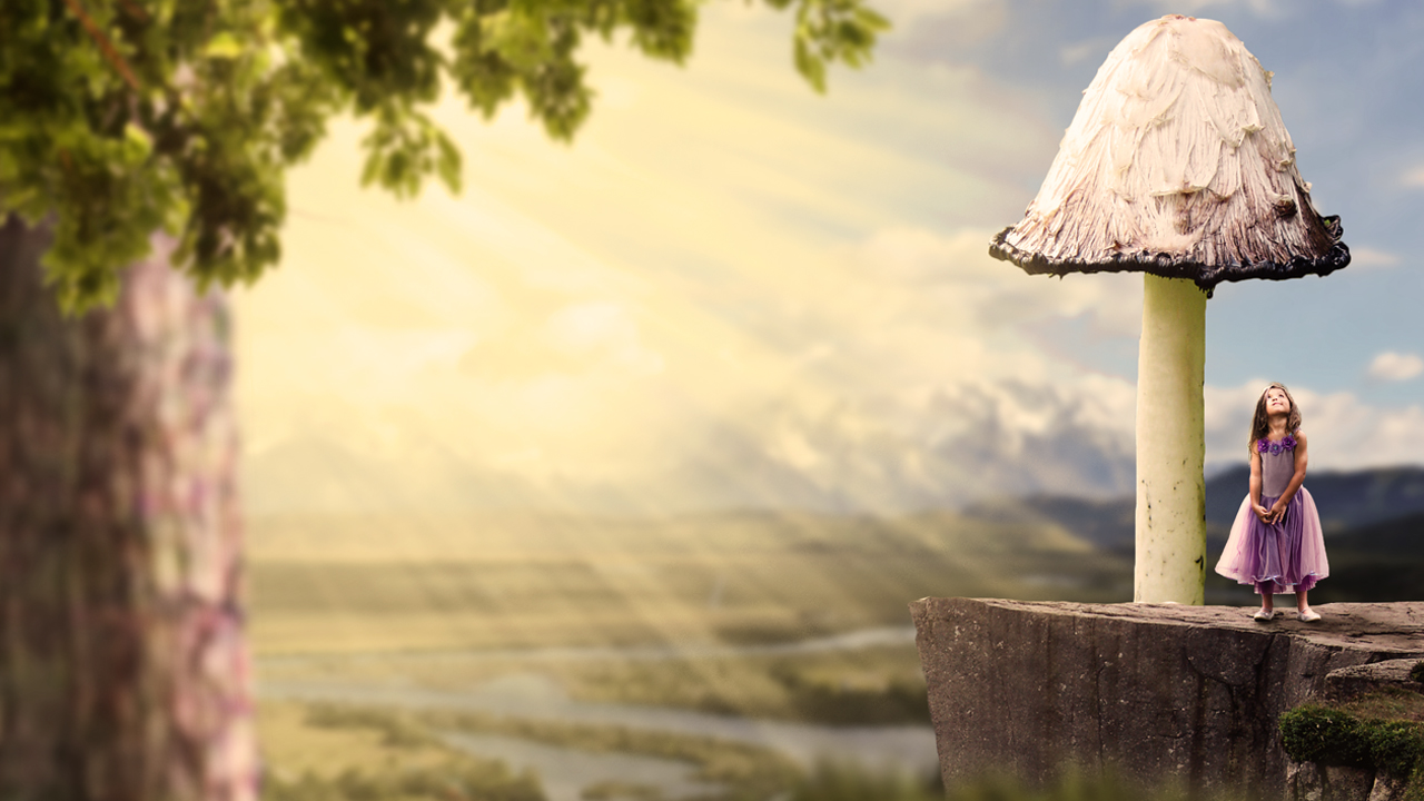 free photo manipulation downloads free photo manipulation downloads