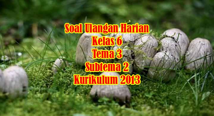 Soal Ulangan Harian Kelas 6 Tema 3 Subtema 2 Penemuan dan