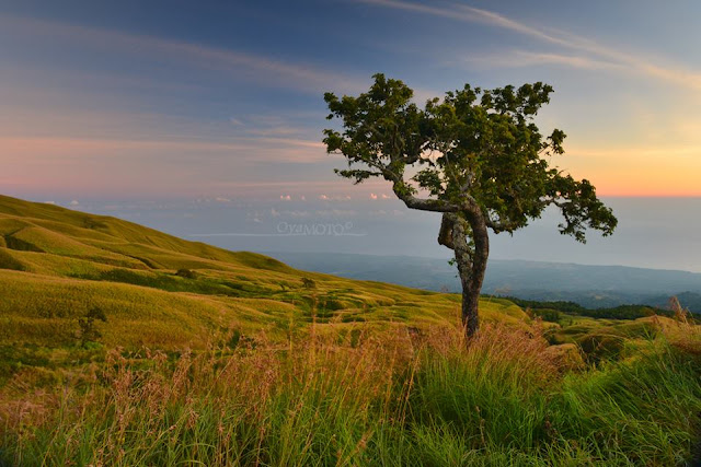 Panorama Padang Savvana di Sembalun Lombok