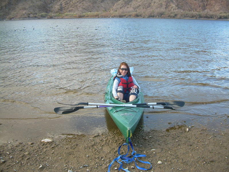 Steve Carr VEGAS FUN and GAMES