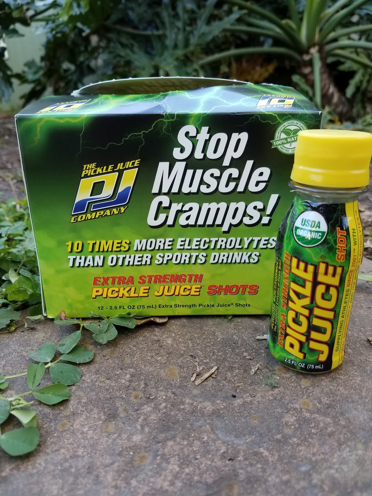 The ABCD Diaries Stop Muscle Cramps with Pickle Juice Sport Drinks